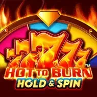Hot to Burn Hold and SpinPragmatic Play game icon